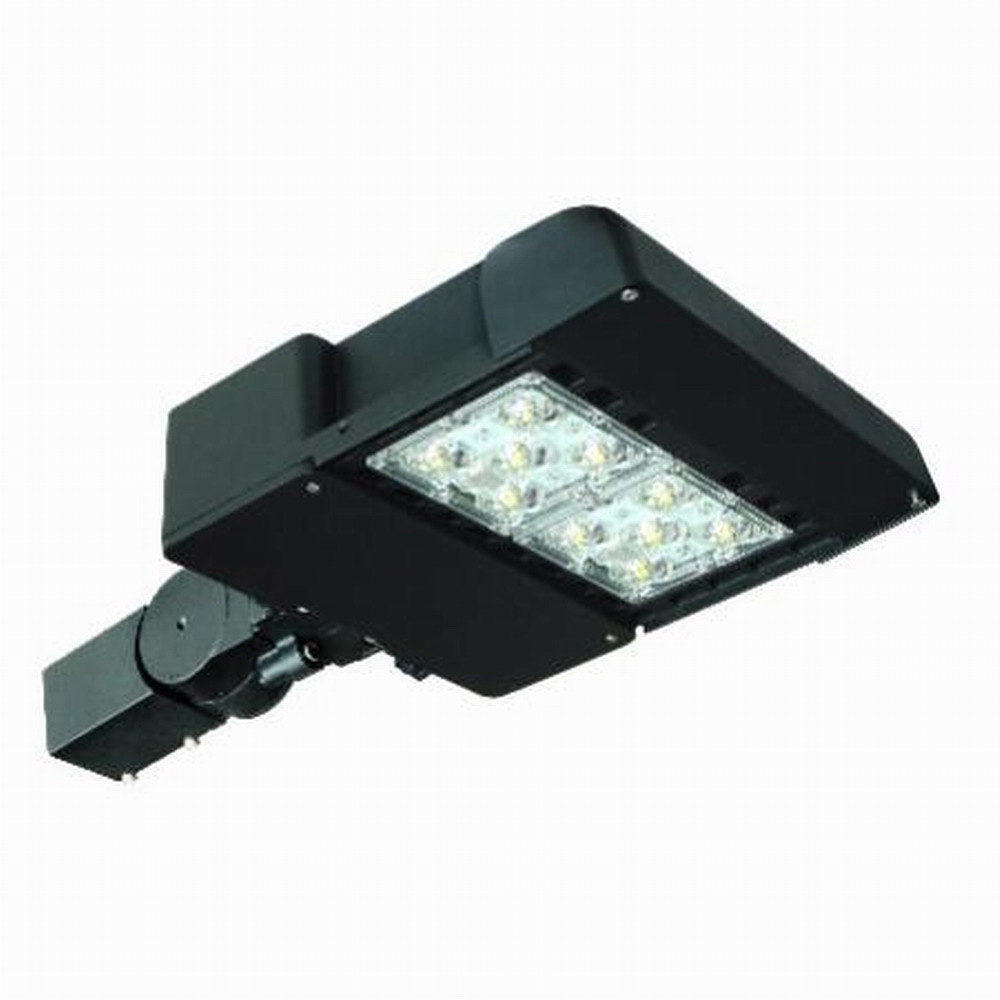 shoebox-100W